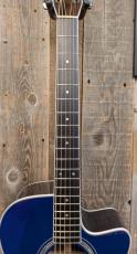 Morris R-14G SBU 【L.R.Baggs Element搭載】_6