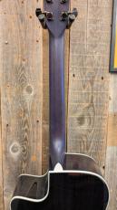 Morris R-14G SBU 【L.R.Baggs Element搭載】_8