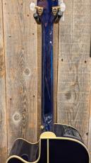 Takamine DMP552C DBS 【無金利分割OK】_8