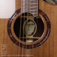 KEYSTONE MC Cutaway Fanfret『撫子に雲雀』_13