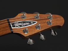 Powers Electric A-Type Select ~Pele Ale~_3