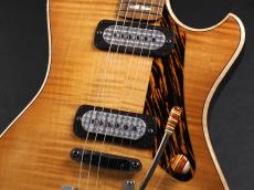 Powers Electric A-Type Select ~Pele Ale~_5