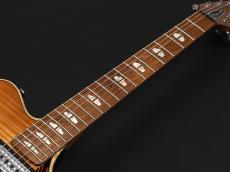 Powers Electric A-Type Select ~Pele Ale~_8