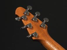 Powers Electric A-Type Select ~Pele Ale~_9
