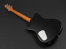 Powers Electric A-Type Select ~Pele Ale~_11