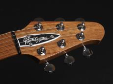 Powers Electric A-Type Select ~Shadow Black~_3