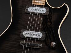 Powers Electric A-Type Select ~Shadow Black~_5