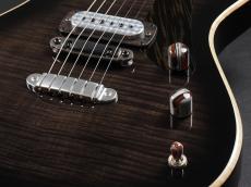 Powers Electric A-Type Select ~Shadow Black~_6