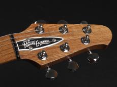 Powers Electric A-Type  ~Meissen Blue~_3