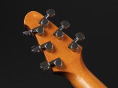 Powers Electric A-Type  ~Meissen Blue~_9