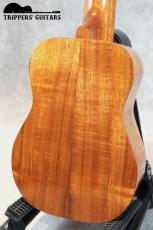 Kamaka HF-1 (1999)_5