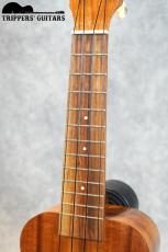 Kamaka HF-1 (1999)_7