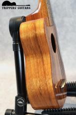 Kamaka HF-1 (1999)_10