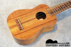 Kamaka HF-1 (1999)_14