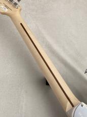 FUJIGEN Expert Series EOS2-ASH-M ~White Blonde~  #L240140【3.46kg】_8