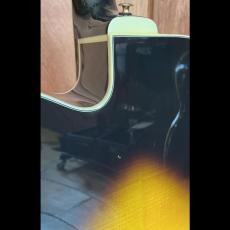 Walker MPG-1200_9
