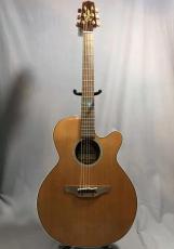 Takamine ESF40C_3