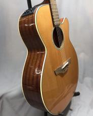 Takamine ESF40C_4