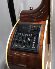 Takamine ESF40C_7