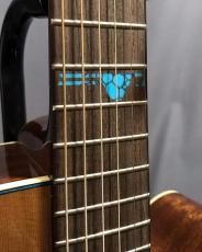 Takamine ESF40C_8