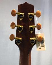 Takamine ESF40C_10