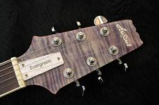 Aria Pro II Evergreen AE2000_5