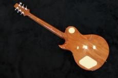 Aria Pro II Evergreen AE2000_6