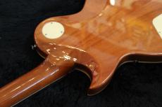 Aria Pro II Evergreen AE2000_7