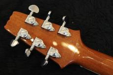 Aria Pro II Evergreen AE2000_9