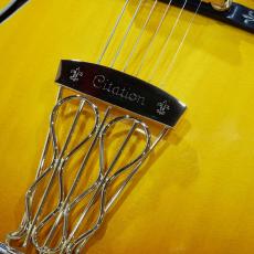 Gibson Citation_4