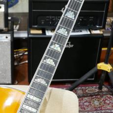 Gibson Citation_5