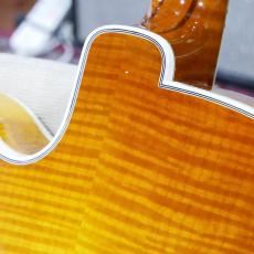 Gibson Citation_10