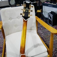 Gibson Citation_11