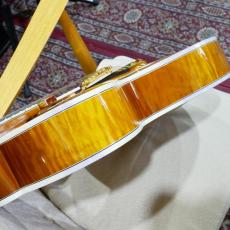 Gibson Citation_13