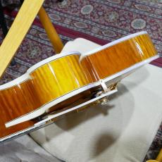 Gibson Citation_14