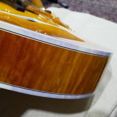 Gibson Citation_15