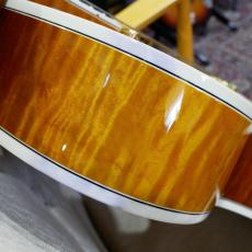 Gibson Citation_16
