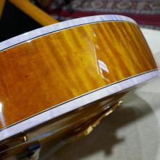 Gibson Citation_17