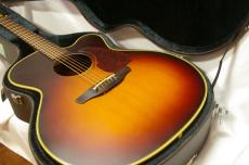 Takamine NPT-012BS 【JUNK】