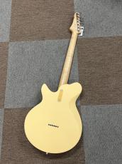 Eastman FT-SC"52-DS_3