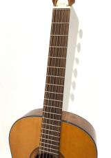 Framus Vintage 05/024 Hootenanny 12-String Vintage Tinted Nitro_4