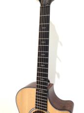 Taylor Next Generation 312ce_4