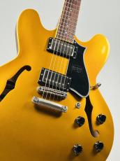 Heritage Standard H-535 -Gold Top-【3.66kg】_10