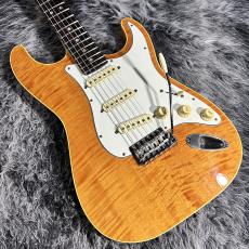 Fender Japan AST-110DMC