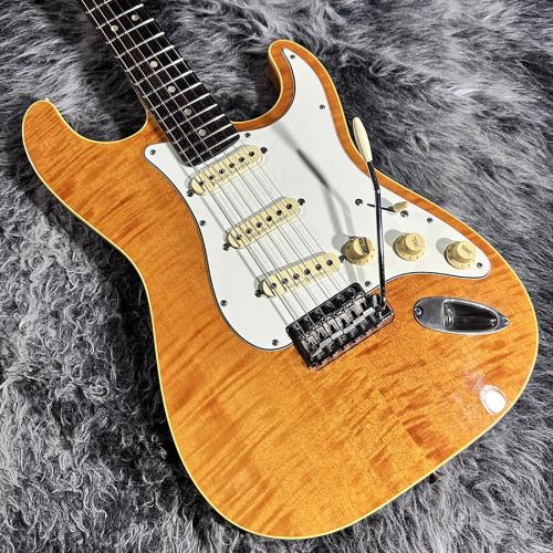 Fender Japan AST-110DMC