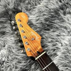 Fender Japan AST-110DMC_3