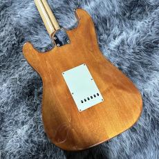 Fender Japan AST-110DMC_5