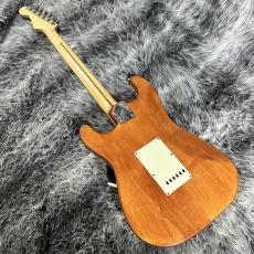 Fender Japan AST-110DMC_8