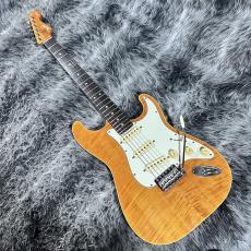 Fender Japan AST-110DMC_9
