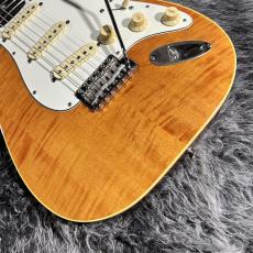 Fender Japan AST-110DMC_10